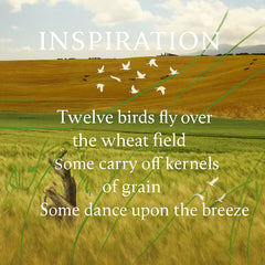 Inspiration graphic for Spring Breeze Wheat Field featuring a wheat field motif and poetic quote “The breeze across the wheat field fills the heart with warmth” illustrating the design concept
