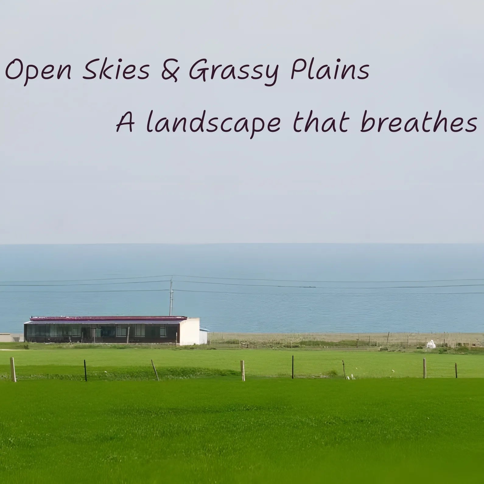 Promotional scenic graphic banner featuring the landscape textile art paired with real field imagery and typography text.